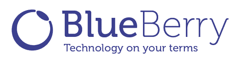 BlueBerry IT logo